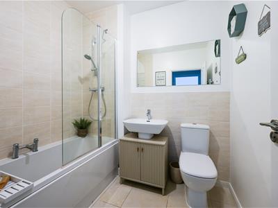Picture 23